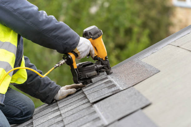 Best Roof Moss and Algae Removal  in Camden, OH