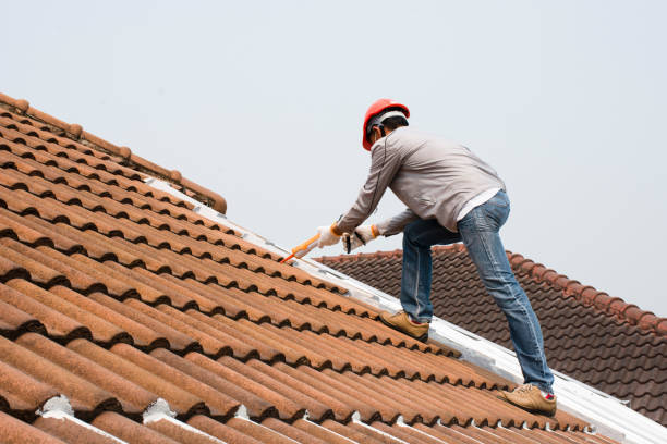 Best Storm Damage Roof Repair  in Camden, OH