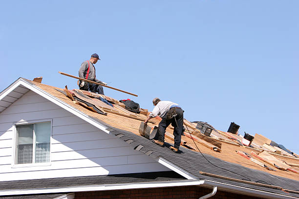 Best Skylight Installation and Repair  in Camden, OH